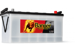 BANNER BUFFALO BULL 100AH 600A Д+