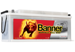 BANNER BUFFALO BULL SHD 135AH 900A Л+